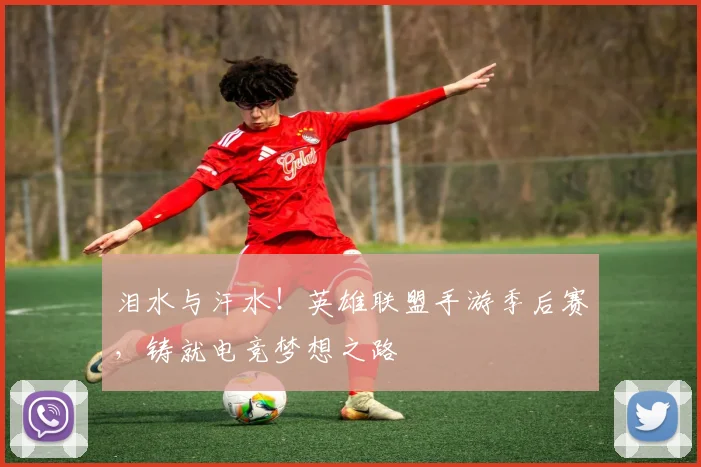 泪水与汗水!英雄联盟手游季后赛,铸就电竞梦想之路