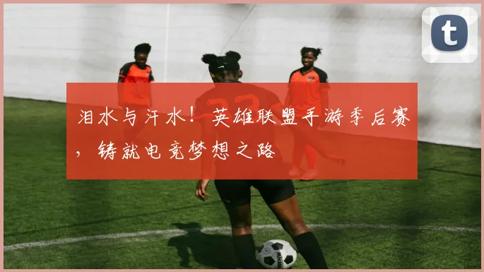 泪水与汗水!英雄联盟手游季后赛,铸就电竞梦想之路