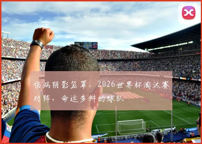 伤病阴影笼罩,2026世界杯淘汰赛对阵,命运多舛的球队