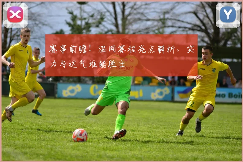 赛事前瞻!温网赛程亮点解析,实力与运气谁能胜出