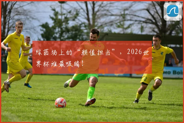 绿茵场上的“颜值担当”,2026世界杯谁最吸睛!